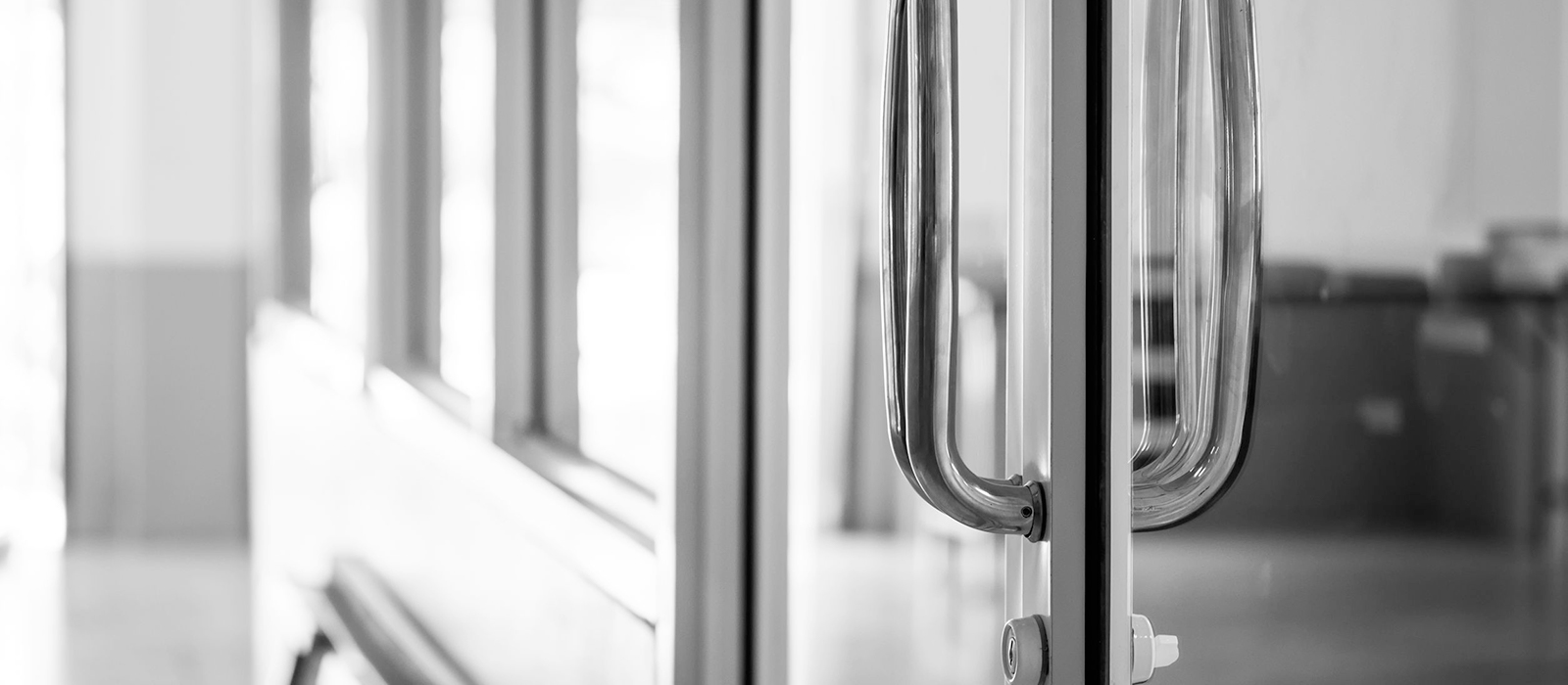 Commercial Door